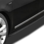 RDSL500040_1